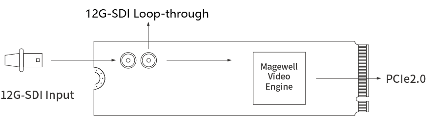 Magewell Eco Capture SDI 4K Plus M.2