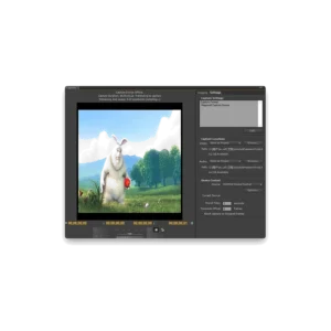 Plugin for Premiere